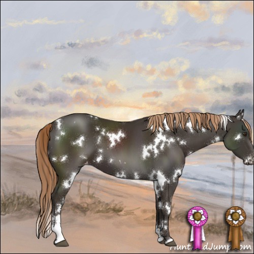 Horse Color:White Spotted Liver Chestnut Sabino Appaloosa 
