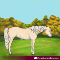 Horse Color:Palomino Dun 