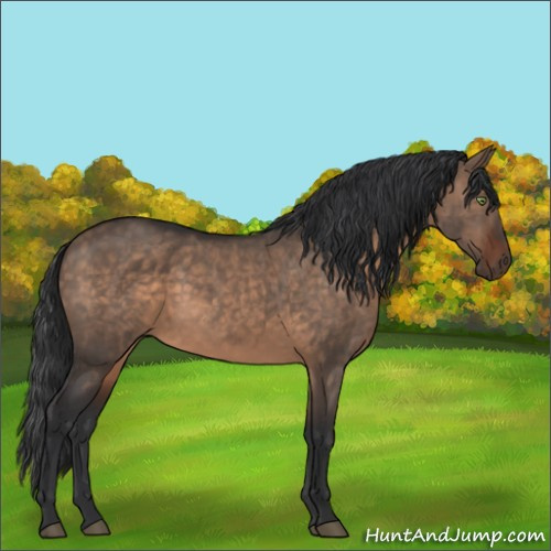 Horse Color:Brown Dun Sabino