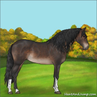 Horse Color:Brown Tobiano Rabicano 