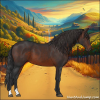 Horse Color:Brown 