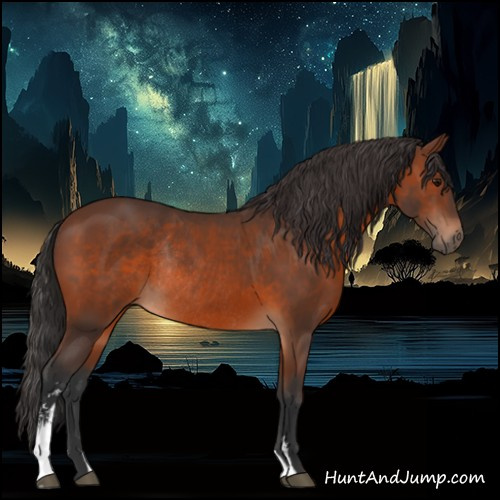 Horse Color:Brown Sabino Rabicano 