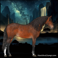 Horse Color:Brown Sabino Rabicano 