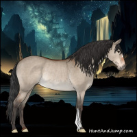 Horse Color:Brown Dun Rabicano