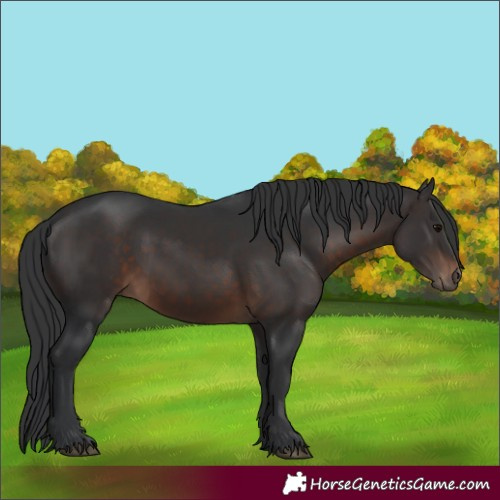 Horse Color:Brown 