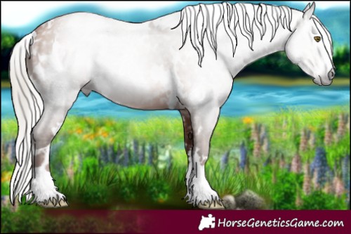 Horse Color:Gray White Spotted Silver Brown Pearl 