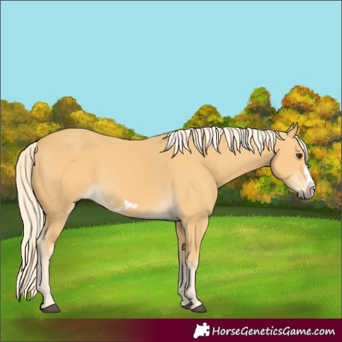 Horse Color:Palomino Frame 