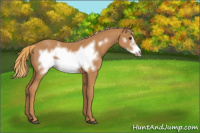 Horse Color:Chestnut Frame