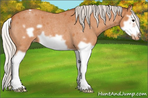 Horse Color:Silver Bay Roan Splash Frame Appaloosa 