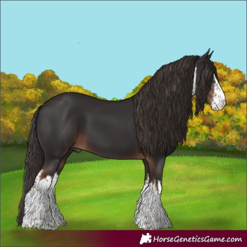 Horse Color:White Spotted Liver Chestnut