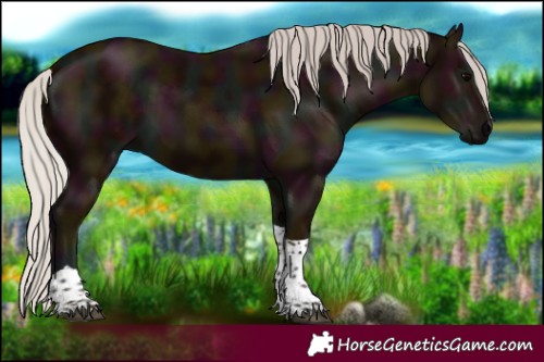 Horse Color:Midnight Silver Black Tobiano 