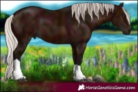 Horse Color:Midnight Silver Brown Tobiano 