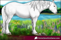 Horse Color:Gray Silver Black Pearl Tobiano 