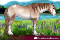 Horse Color:Blue Onyx Pearl Appaloosa 