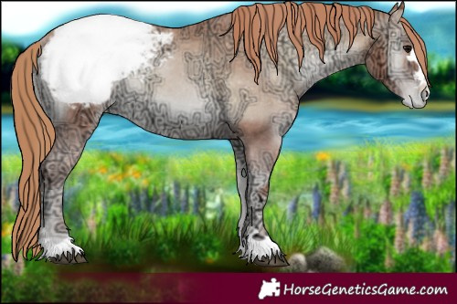 Horse Color:Blue Onyx Ice Pearl Snowcap Rabicano 