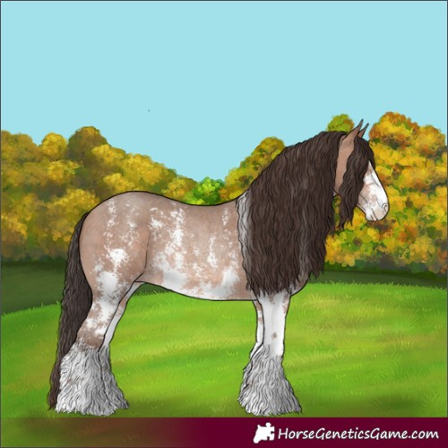 Horse Color:Sable Champagne Sabino Rabicano 