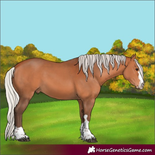 Horse Color:Silver Bay