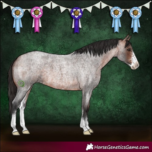 Horse Color:Bay Roan Sabino