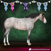 Horse Color:Bay Roan Sabino