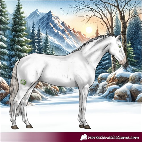 Horse Color:Liver Red Dun Pearl Sabino 