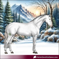 Horse Color:Liver Red Dun Pearl Sabino