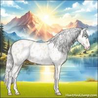 Horse Color:Cremello Appaloosa 