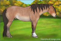 Horse Color:Brown Roan Rabicano 