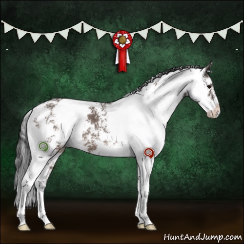 Horse Color:Brown Dun Sabino 