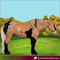 Horse Color:Chestnut Splash Tobiano