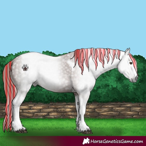 Horse Color:Gray Painted Chestnut Tobiano 