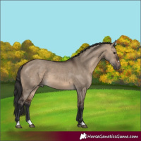 Horse Color:Brown Dun 