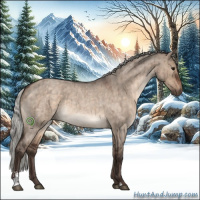 Horse Color:Silver Brown Roan Dun Sabino Brindle