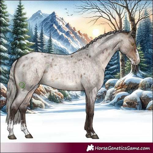 Horse Color:Silver Brown Roan Dun Sabino Brindle