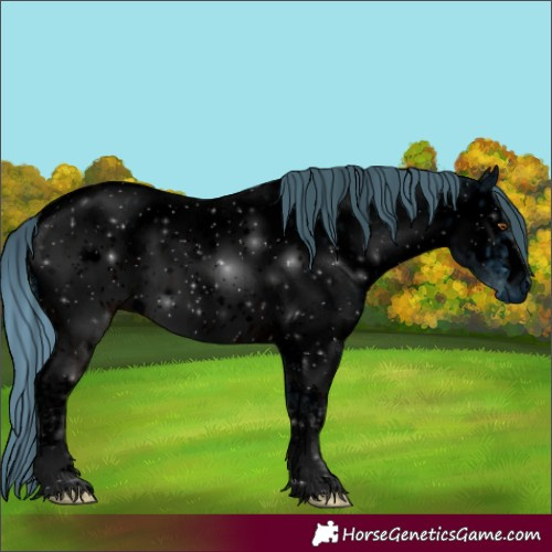 Horse Color:ERROR: UNKNOWN ANOMALY