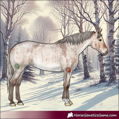 Horse Color:Silver Brown Roan Dun Brindle 