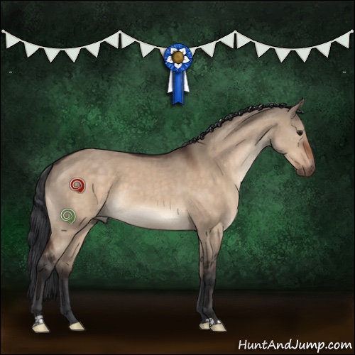 Horse Color:Brown Dun 