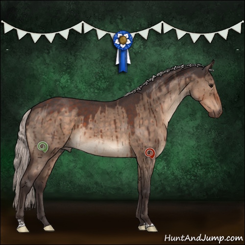 Horse Color:Silver Brown Roan Dun Brindle 