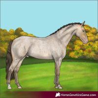 Horse Color:Sable Cream Champagne Roan 