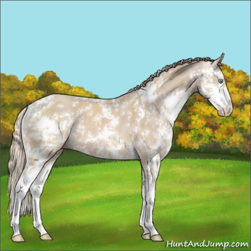 Horse Color:Smoky Creme Sabino