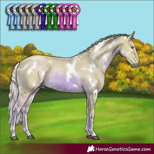 Horse Color:Watercolor White Spotted Chocolate Palomino Rabicano 