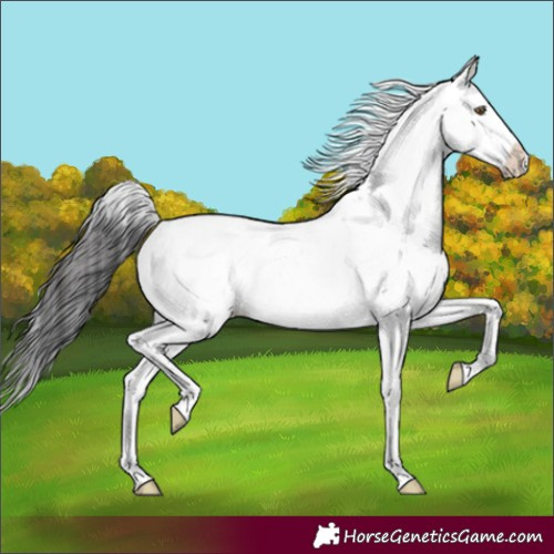 Horse Color:Buckskin Dun Sabino 