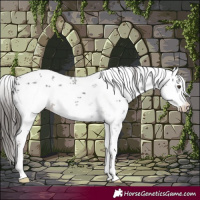 Horse Color:White Spotted Liver Chestnut Sabino