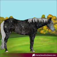 Horse Color:ERROR: UNKNOWN ANOMALY