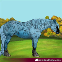 Horse Color:ERROR: UNKNOWN ANOMALY