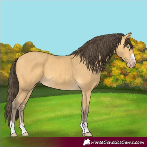 Horse Color:Amber Cream Champagne 