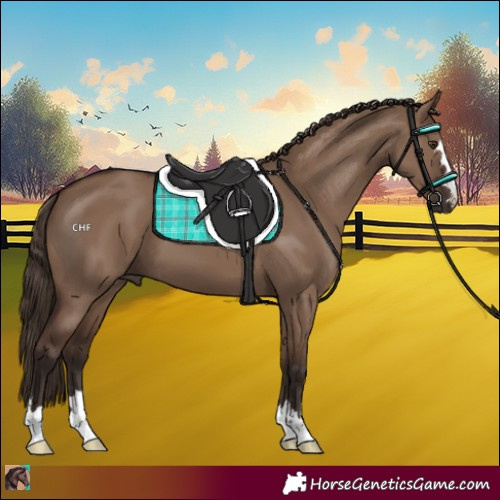 Horse Color:Liver Red Dun 