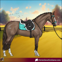 Horse Color:Liver Red Dun 