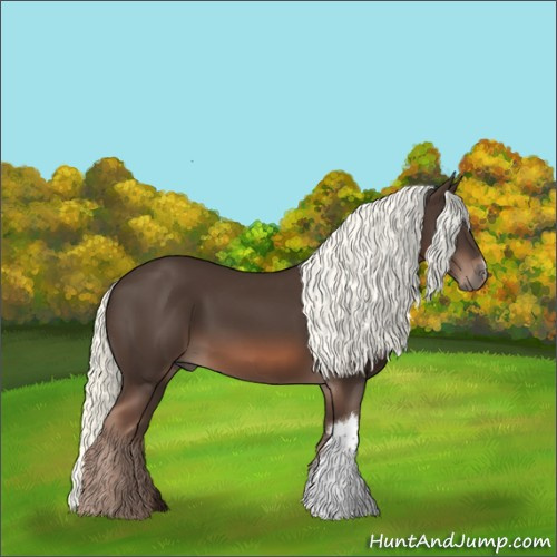 Horse Color:Liver Chestnut Mushroom 
