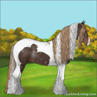 Horse Color:Liver Chestnut Tobiano