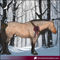 Horse Color:Bay Dun  and Bay Roan Dun 